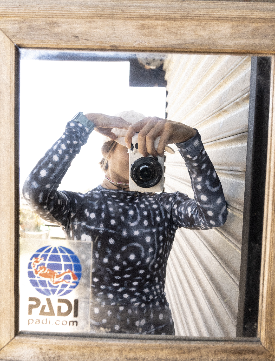 Enterito | WhaleShark